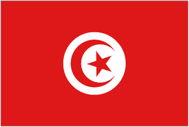 Tunisia U20 logo