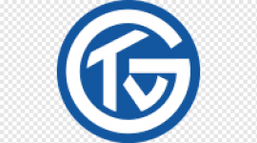 Grosswallstadt TV logo