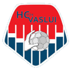 Vaslui logo