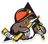 Soligorsk logo