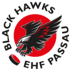 Passau logo