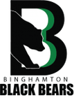 Binghamton Black Bears logo