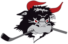 Rodovre Mighty Bulls logo