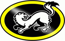 Karpat logo