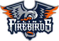 Flint Firebirds logo