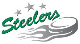 Bietigheim Steelers logo