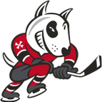 Niagara IceDogs logo