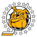 Varese logo