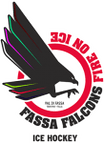 Fassa logo
