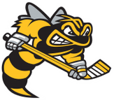Sarnia Sting logo