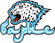 Barys Astana logo