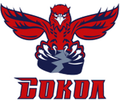 Krasnoyarsk W logo