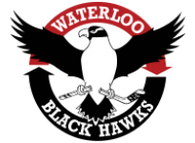 Waterloo Black Hawks logo