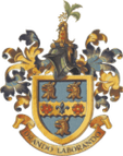Rugby Lyons logo