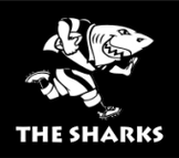Sharks logo