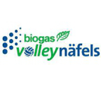 Nafels logo