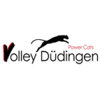 Dudingen Women logo