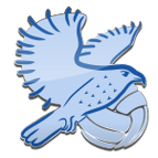 Sokol/Post SV Women logo