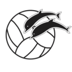 ASV Aarhus 2 Women logo