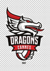 RC Cannes logo