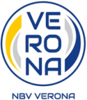 Verona logo