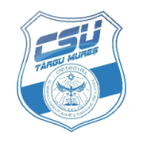 CSU Târgu Mureș Women logo