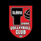 Svidnik logo