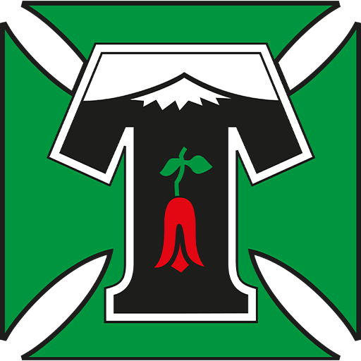 Deportes Temuco logo